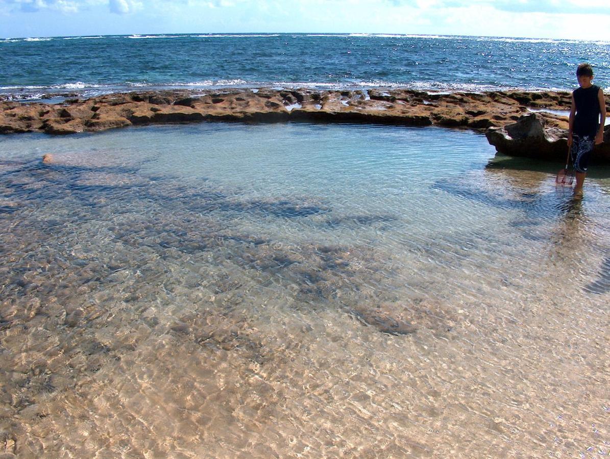 Itʻs All About The Beach Βίλα Hau'ula Εξωτερικό φωτογραφία